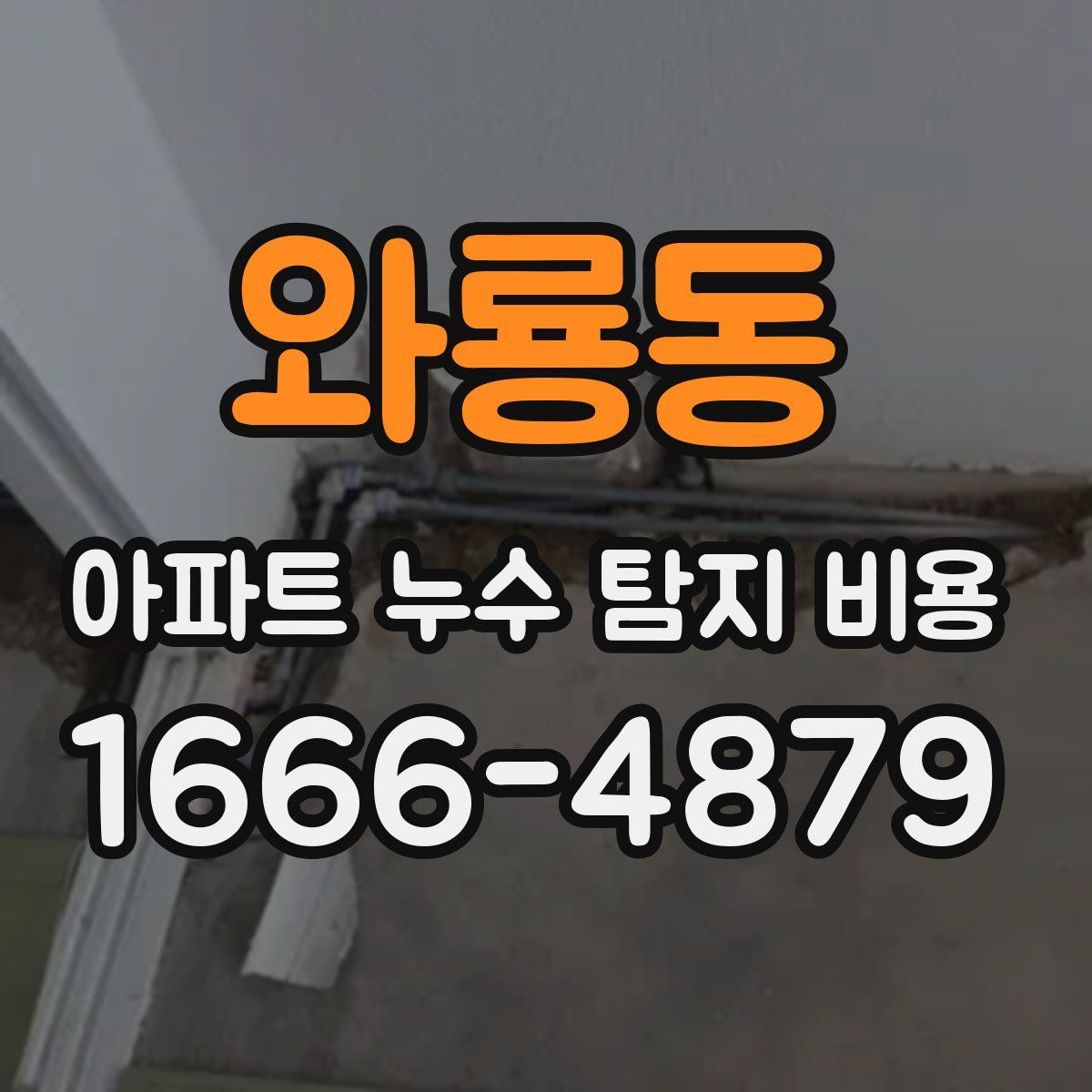 와룡동 아파트 누수 탐지 비용