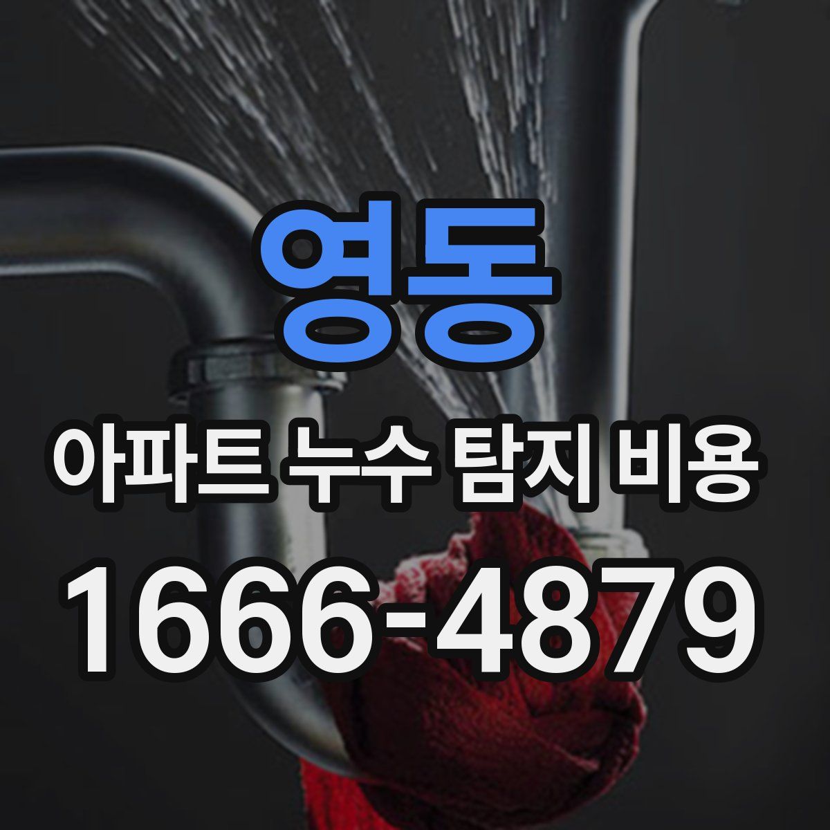 영동 아파트 누수 탐지 비용