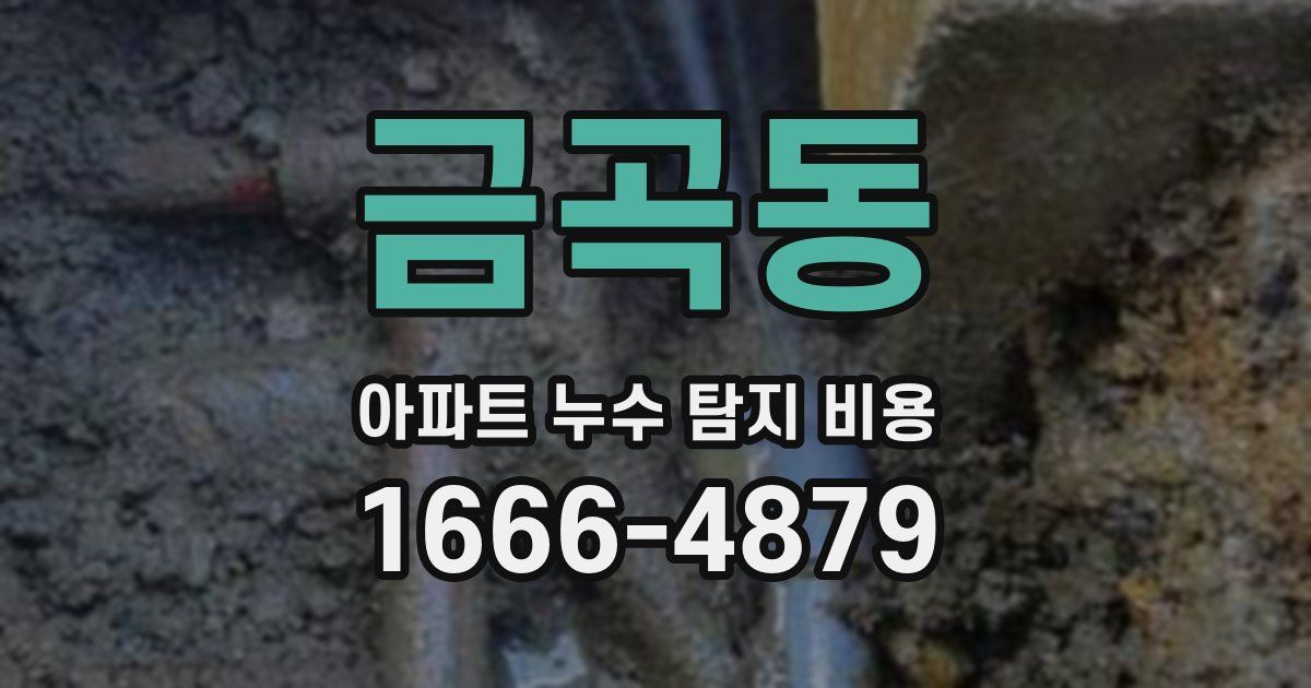 금곡동 아파트 누수 탐지 비용