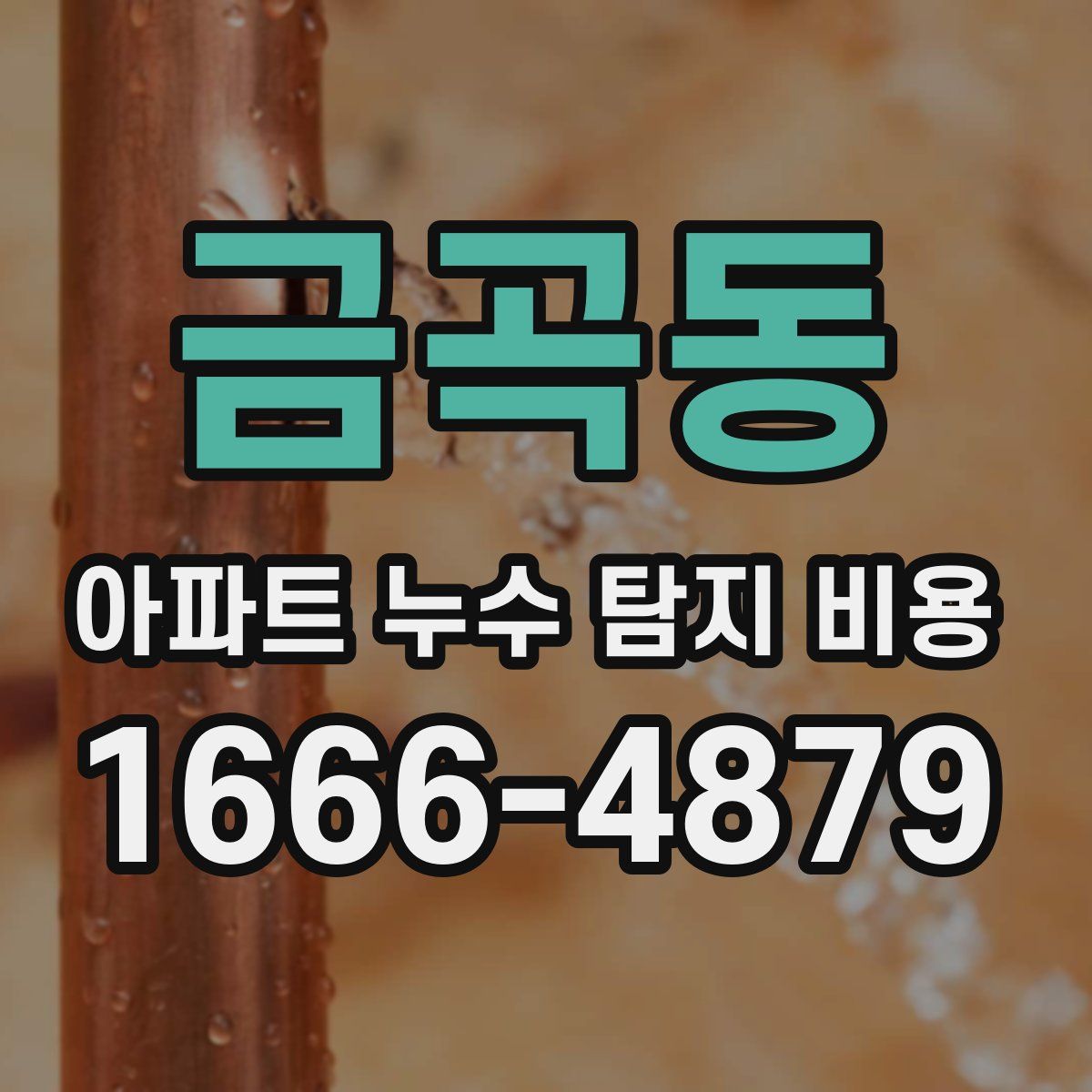 금곡동 아파트 누수 탐지 비용