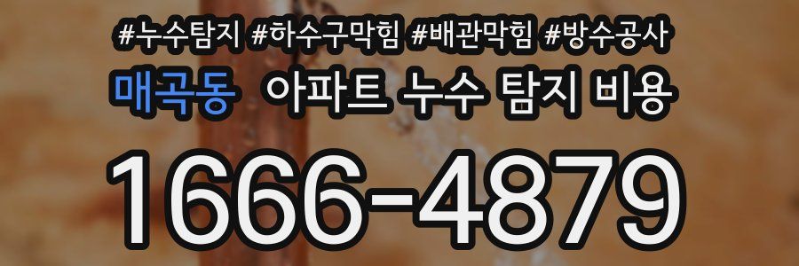 매곡동 아파트 누수 탐지 비용