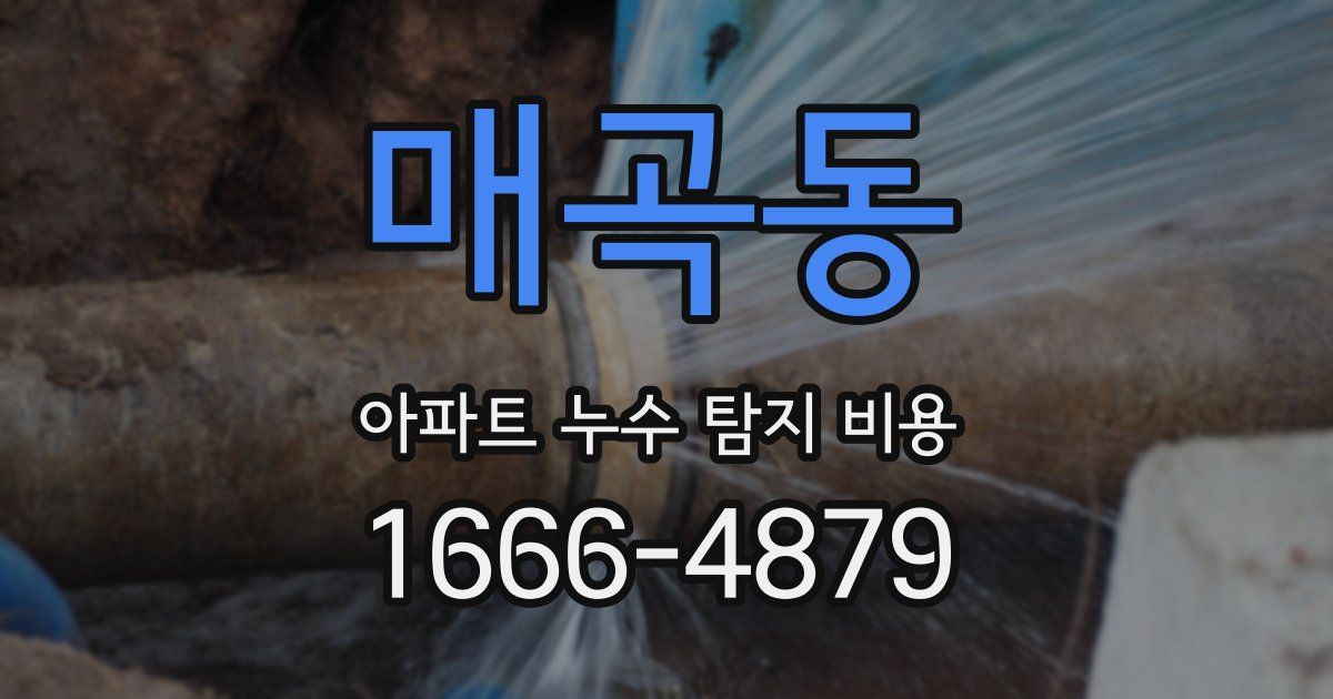 매곡동 아파트 누수 탐지 비용