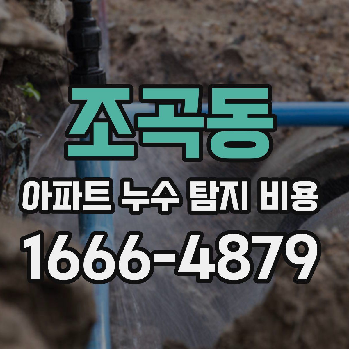 조곡동 아파트 누수 탐지 비용