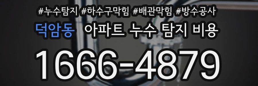 덕암동 아파트 누수 탐지 비용