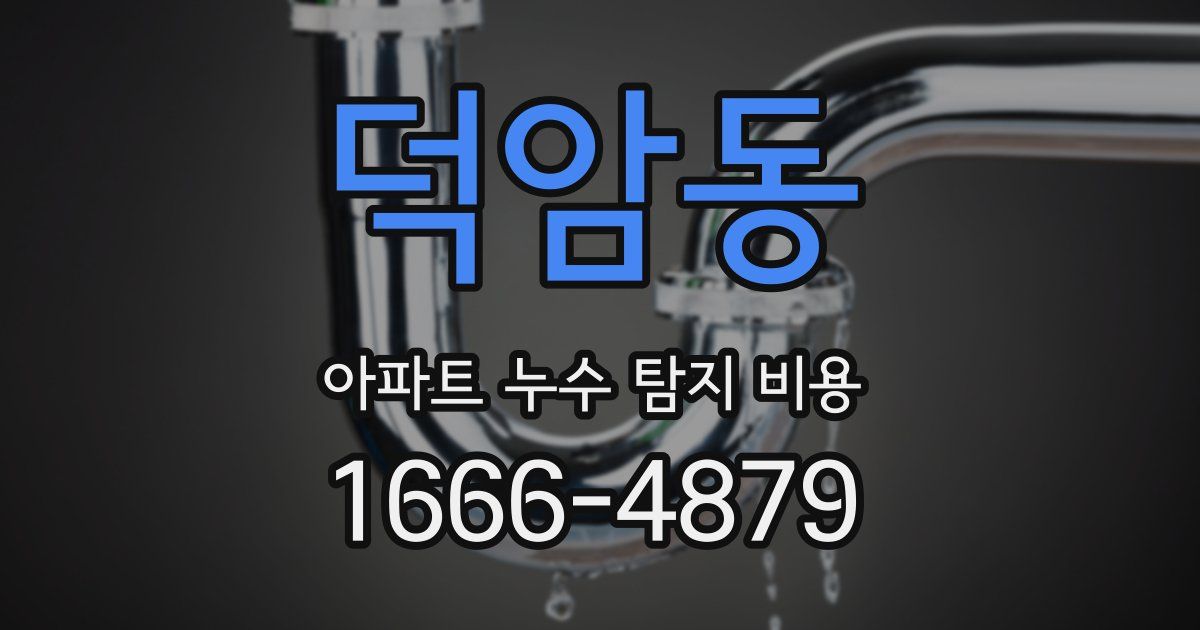 덕암동 아파트 누수 탐지 비용