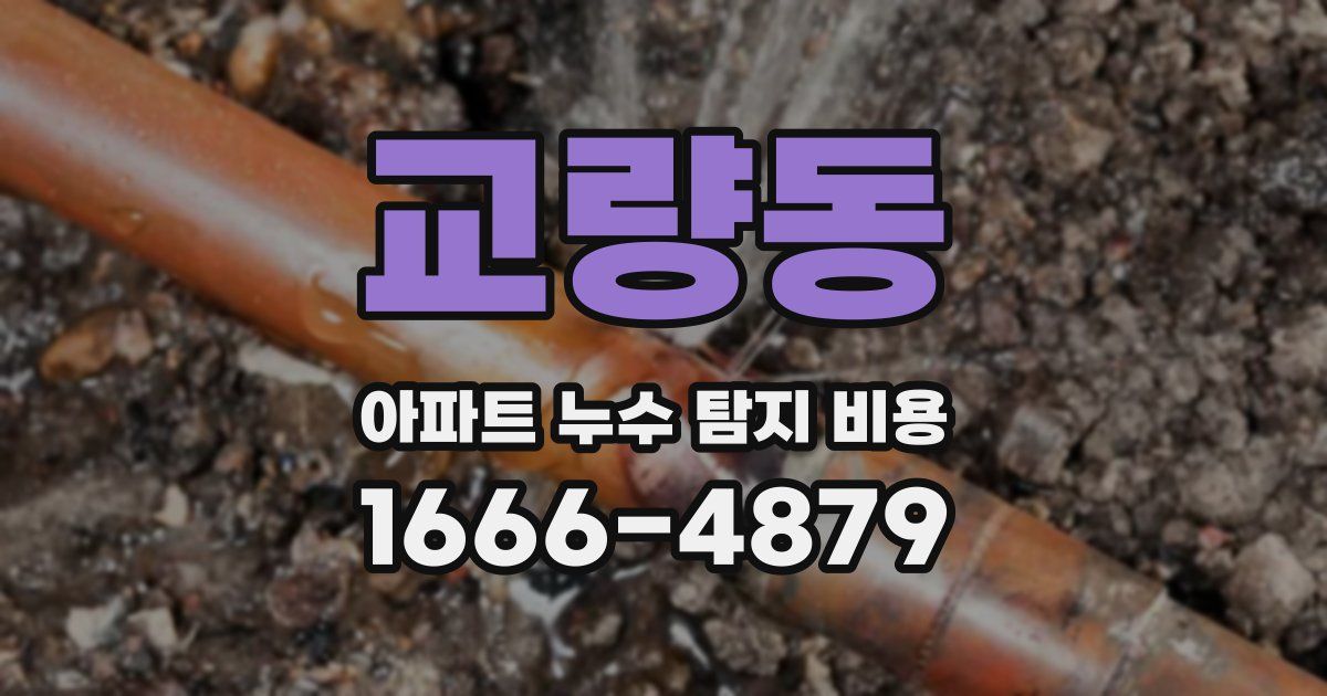 교량동 아파트 누수 탐지 비용