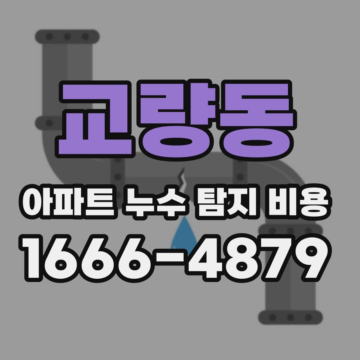 교량동 아파트 누수 탐지 비용