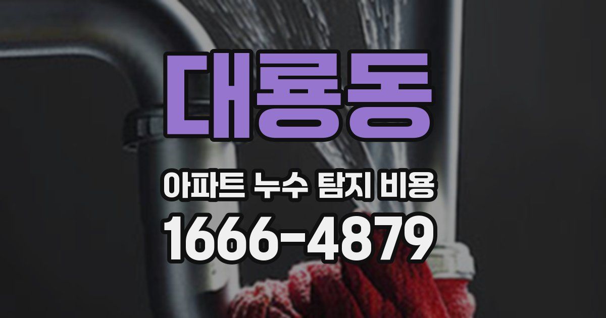 대룡동 아파트 누수 탐지 비용