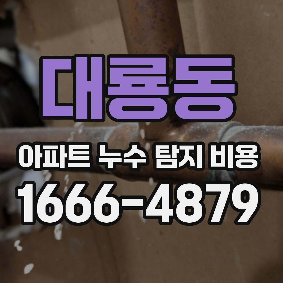 대룡동 아파트 누수 탐지 비용