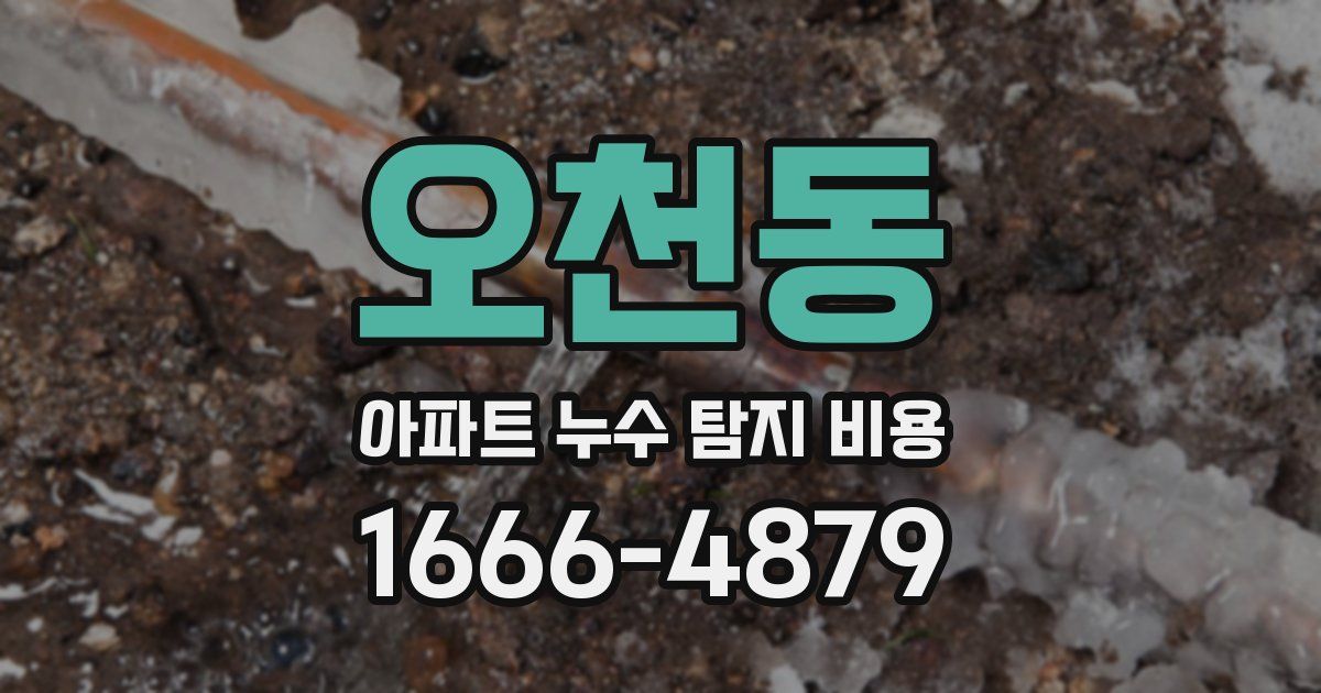 오천동 아파트 누수 탐지 비용