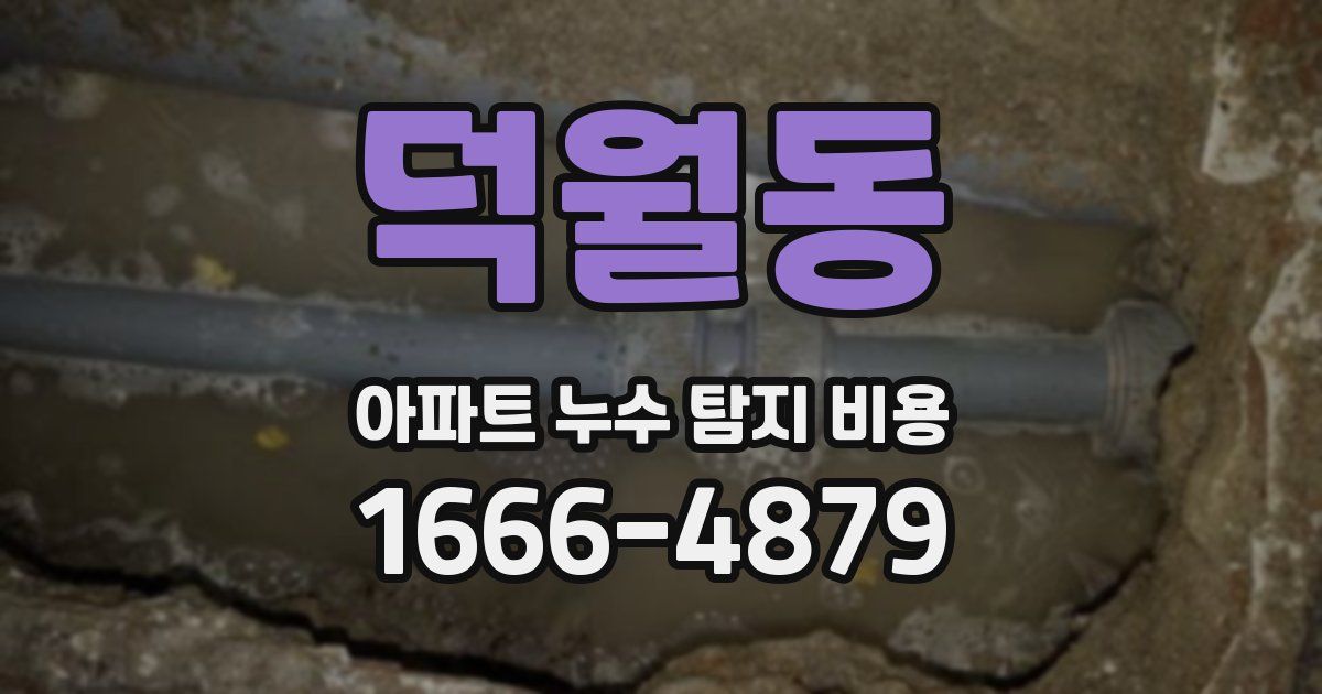덕월동 아파트 누수 탐지 비용