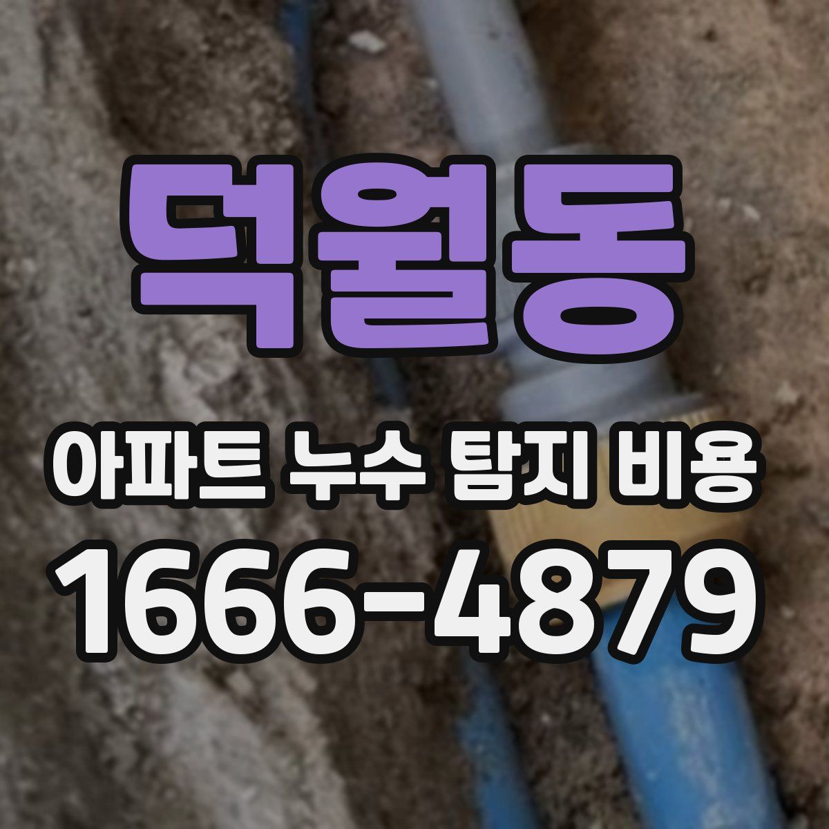 덕월동 아파트 누수 탐지 비용