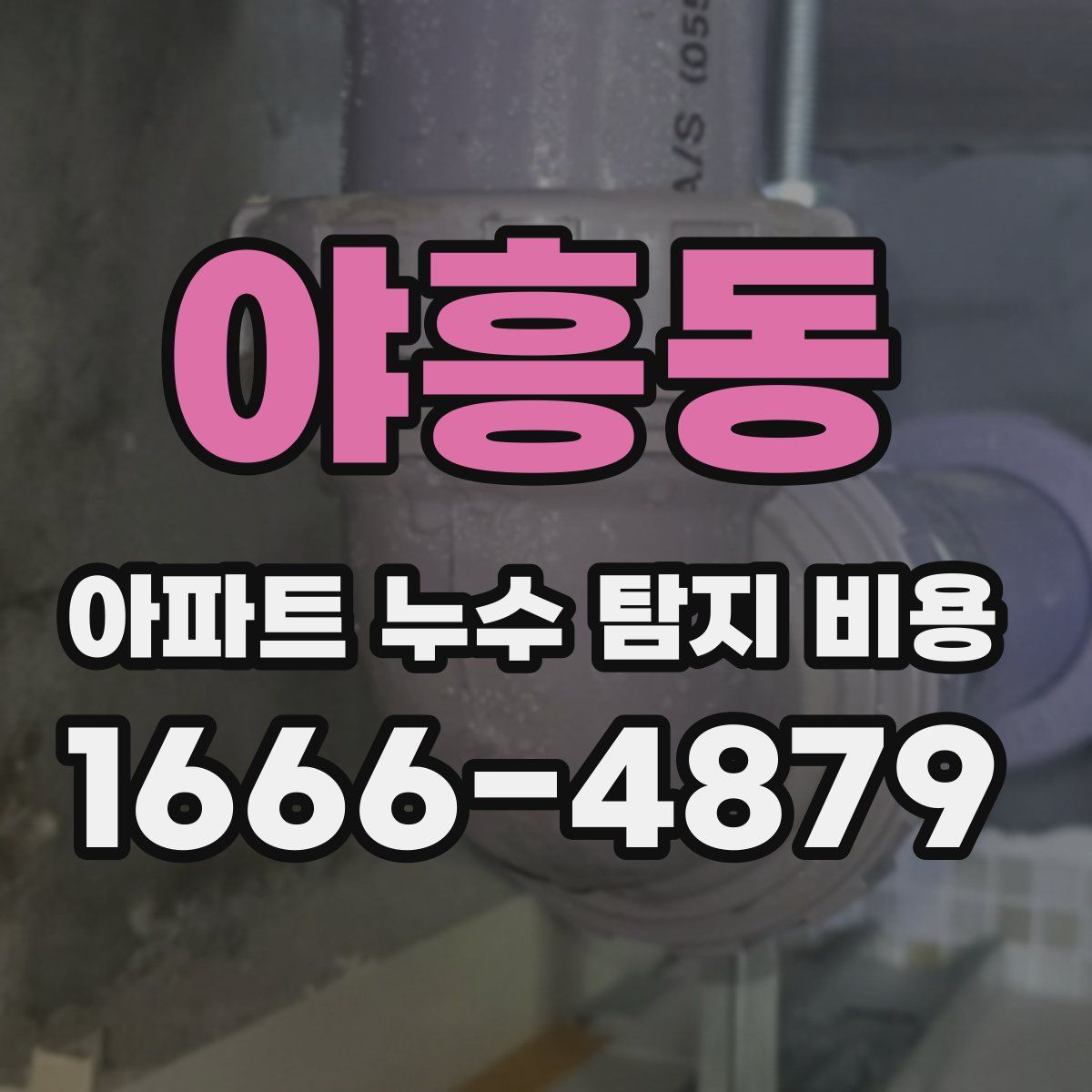 야흥동 아파트 누수 탐지 비용