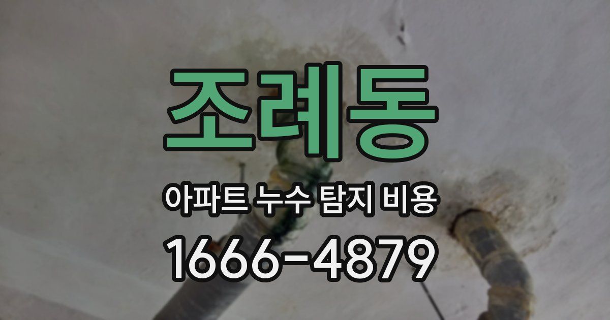 조례동 아파트 누수 탐지 비용