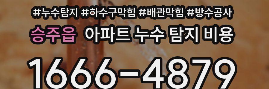승주읍 아파트 누수 탐지 비용