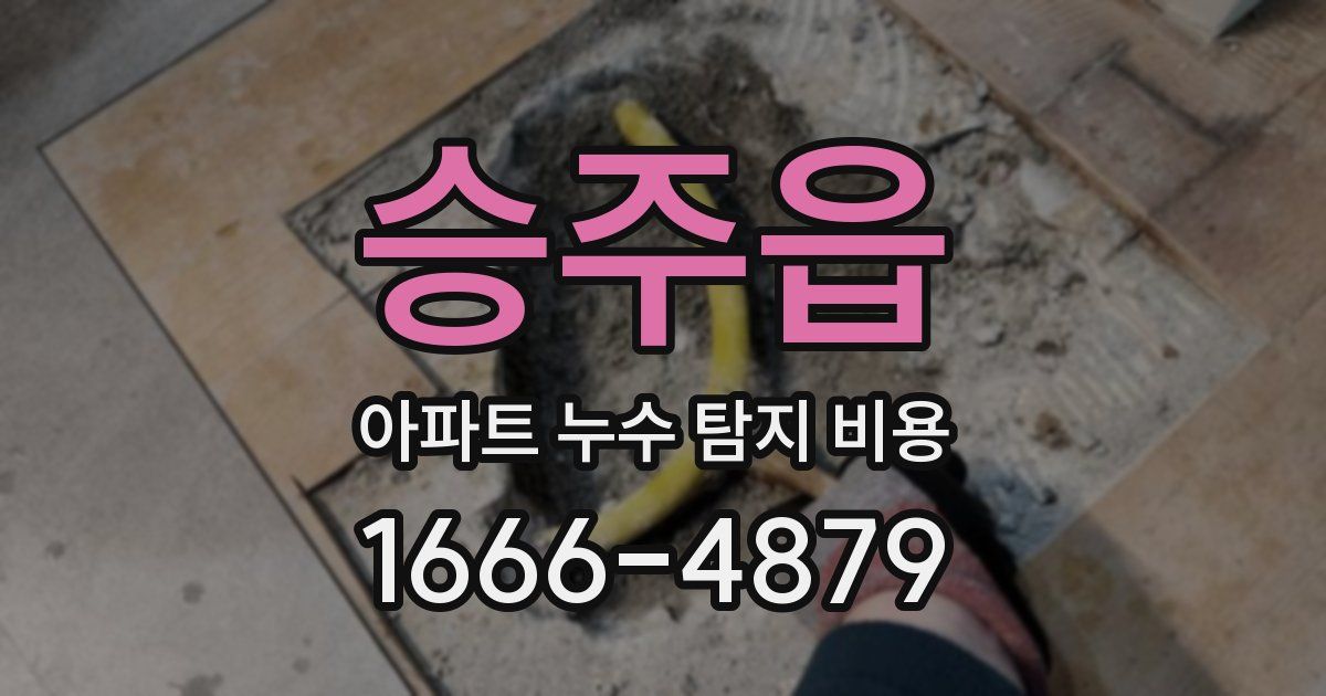 승주읍 아파트 누수 탐지 비용