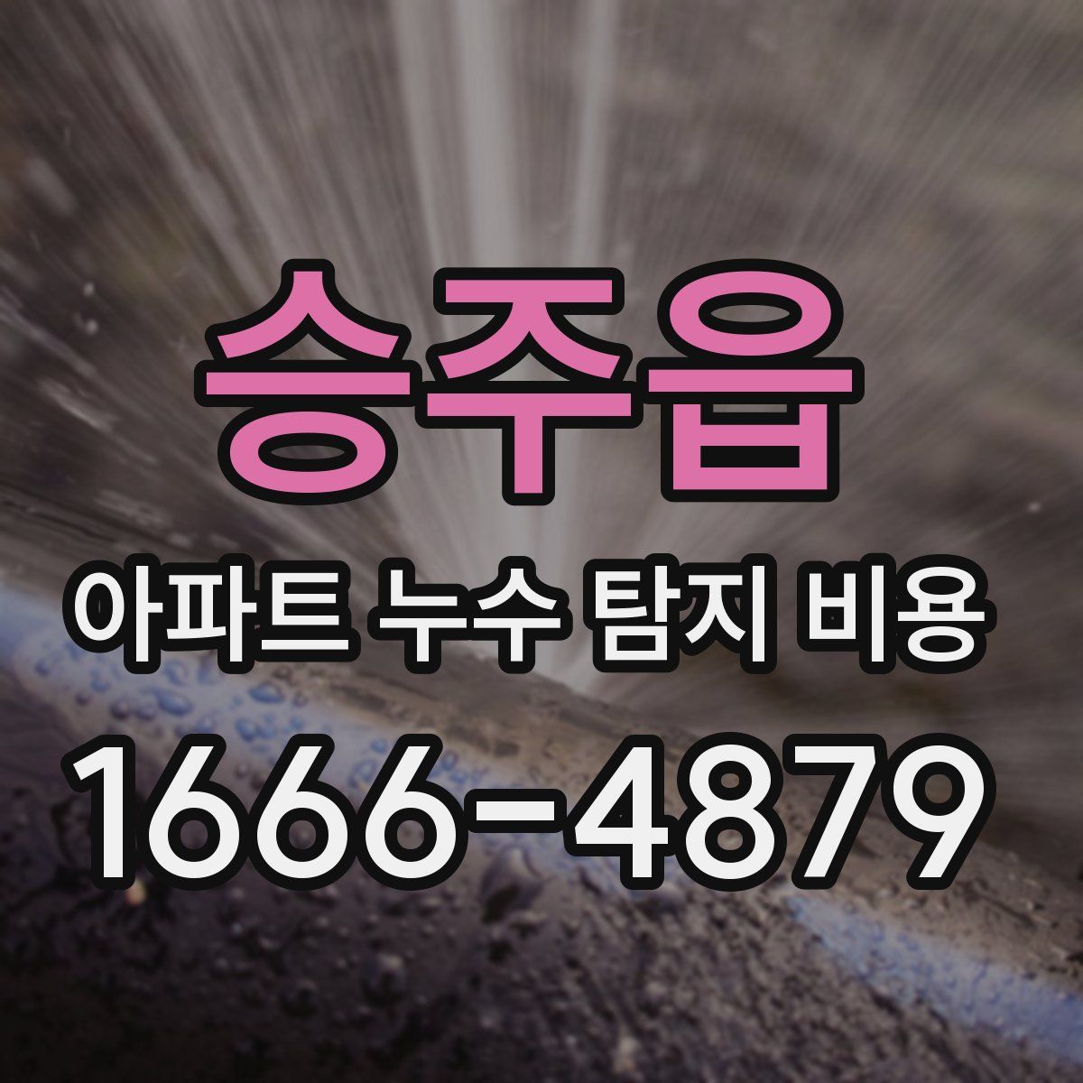 승주읍 아파트 누수 탐지 비용