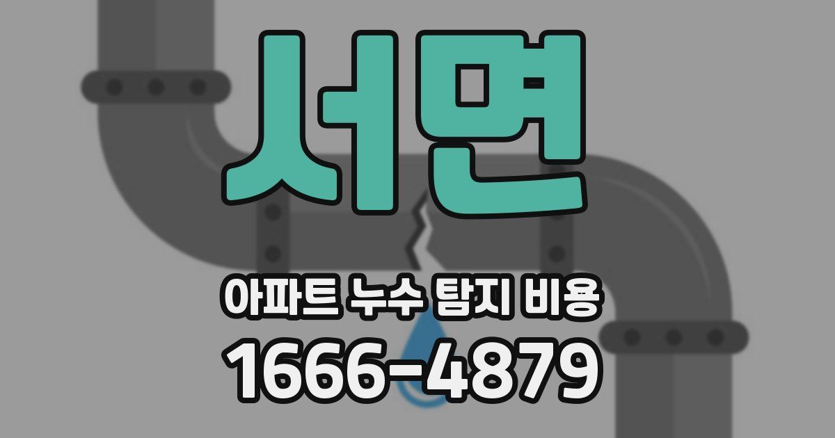 서면 아파트 누수 탐지 비용