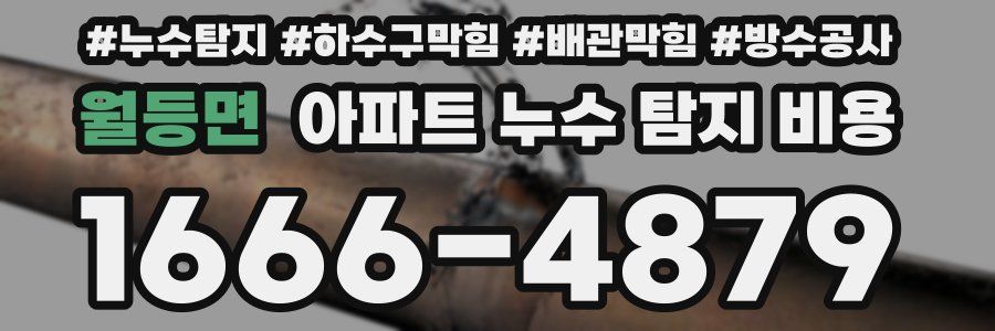 월등면 아파트 누수 탐지 비용