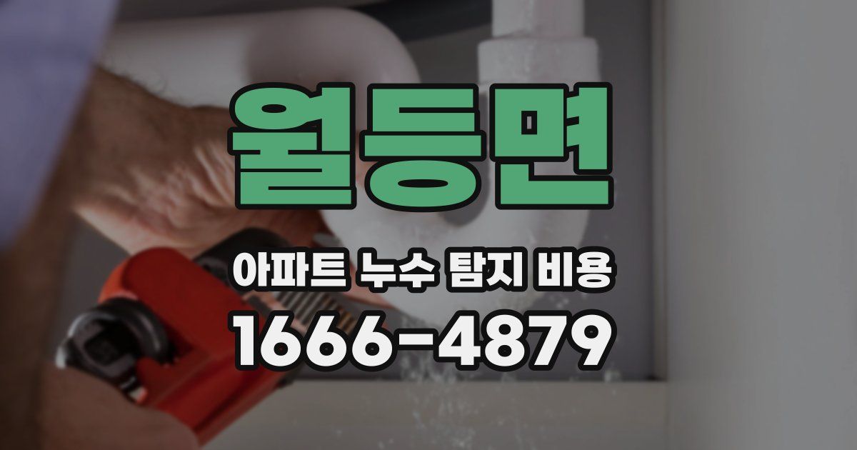 월등면 아파트 누수 탐지 비용