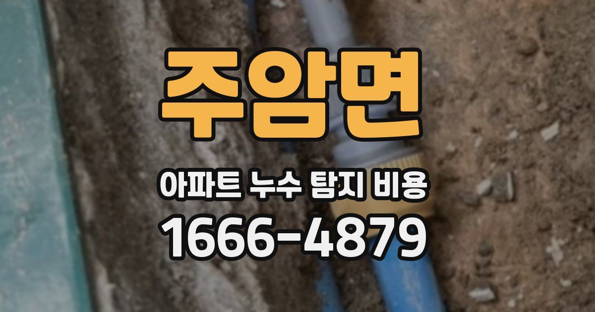 주암면 아파트 누수 탐지 비용