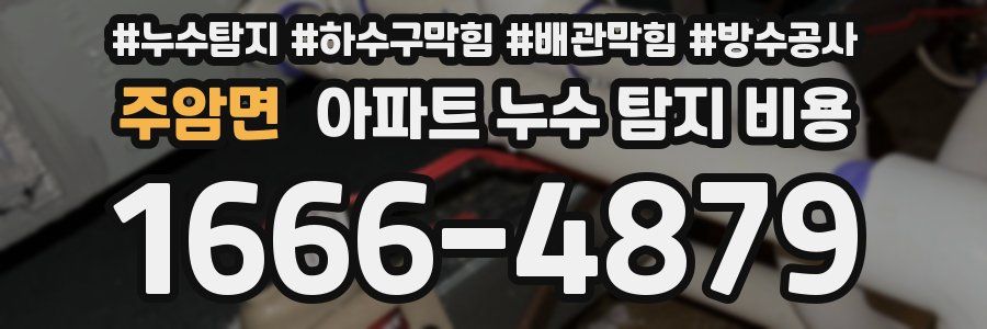 주암면 아파트 누수 탐지 비용