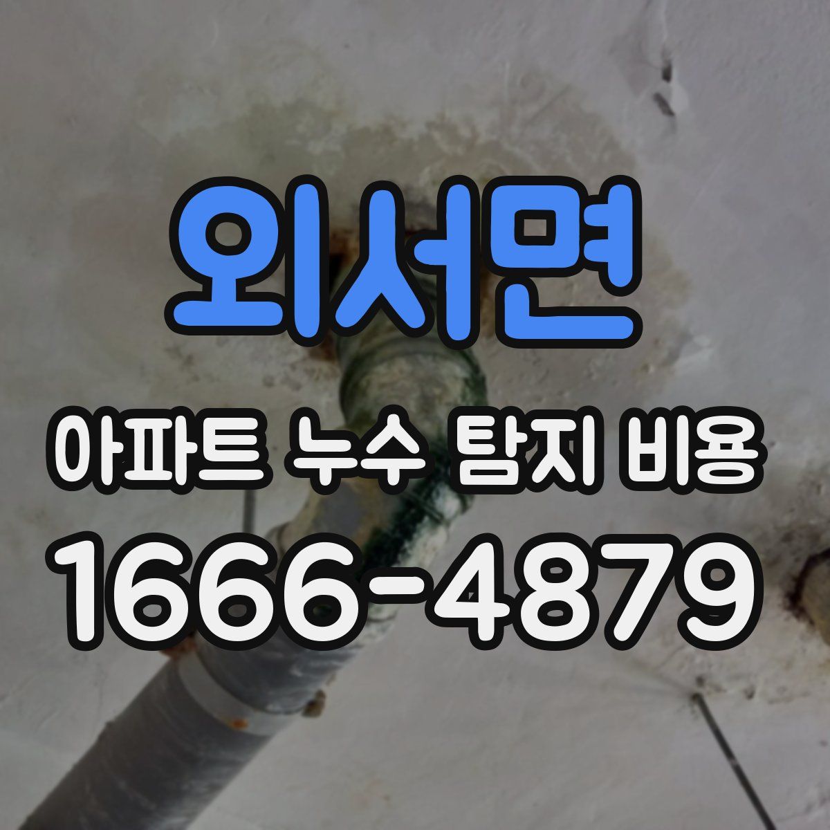 외서면 아파트 누수 탐지 비용