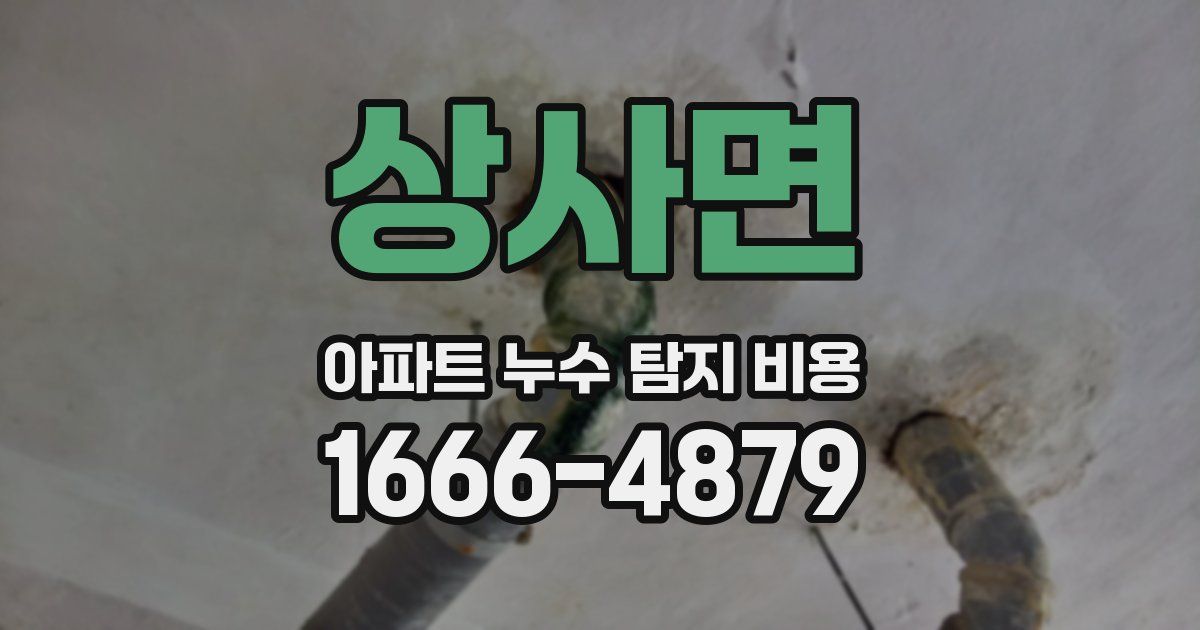 상사면 아파트 누수 탐지 비용
