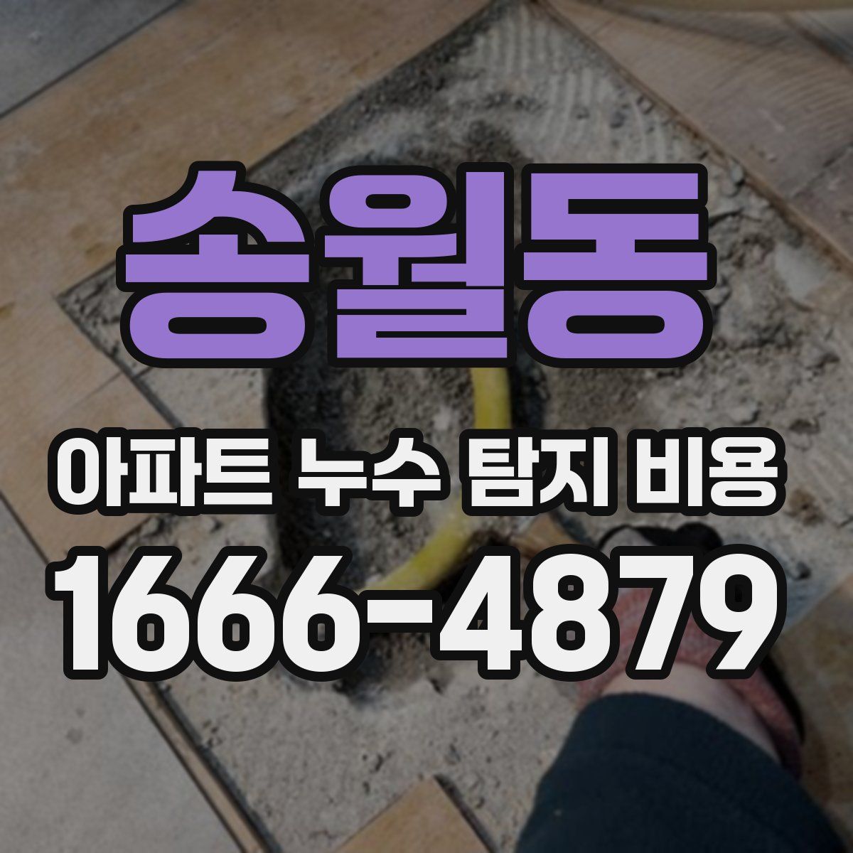 송월동 아파트 누수 탐지 비용