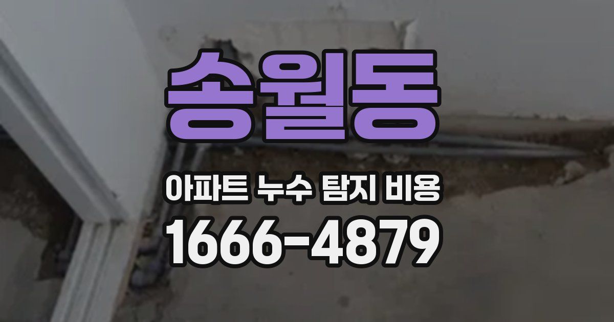 송월동 아파트 누수 탐지 비용