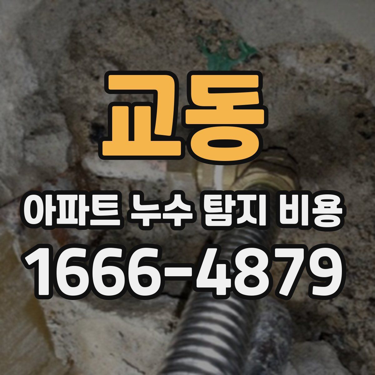 교동 아파트 누수 탐지 비용