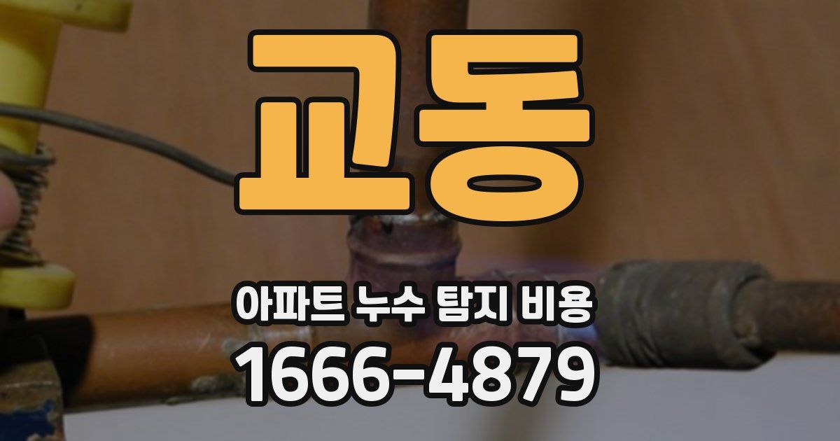 교동 아파트 누수 탐지 비용