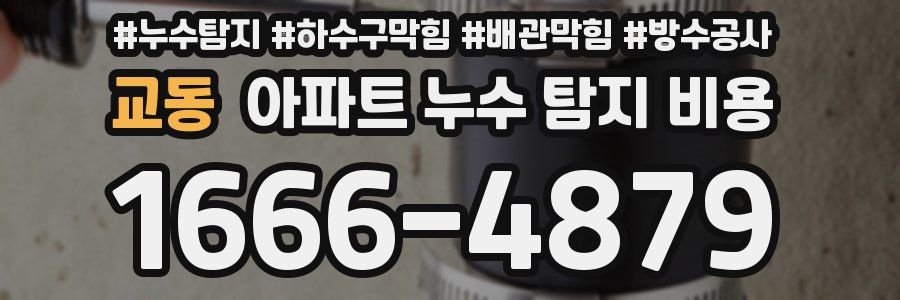 교동 아파트 누수 탐지 비용
