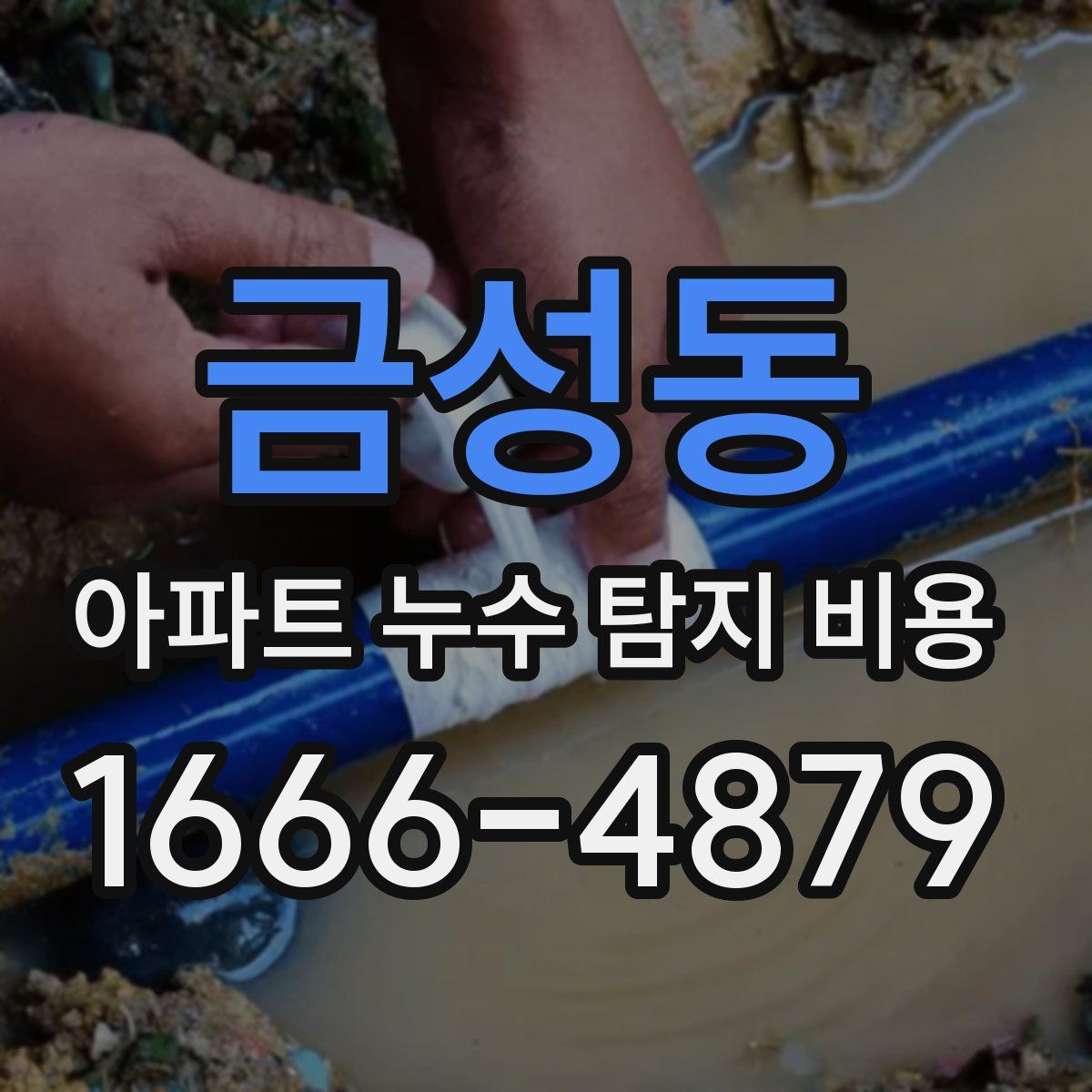 금성동 아파트 누수 탐지 비용