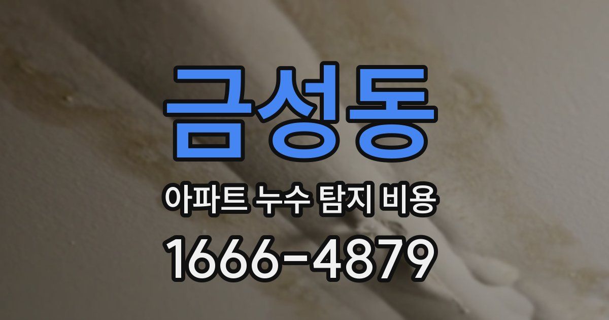 금성동 아파트 누수 탐지 비용