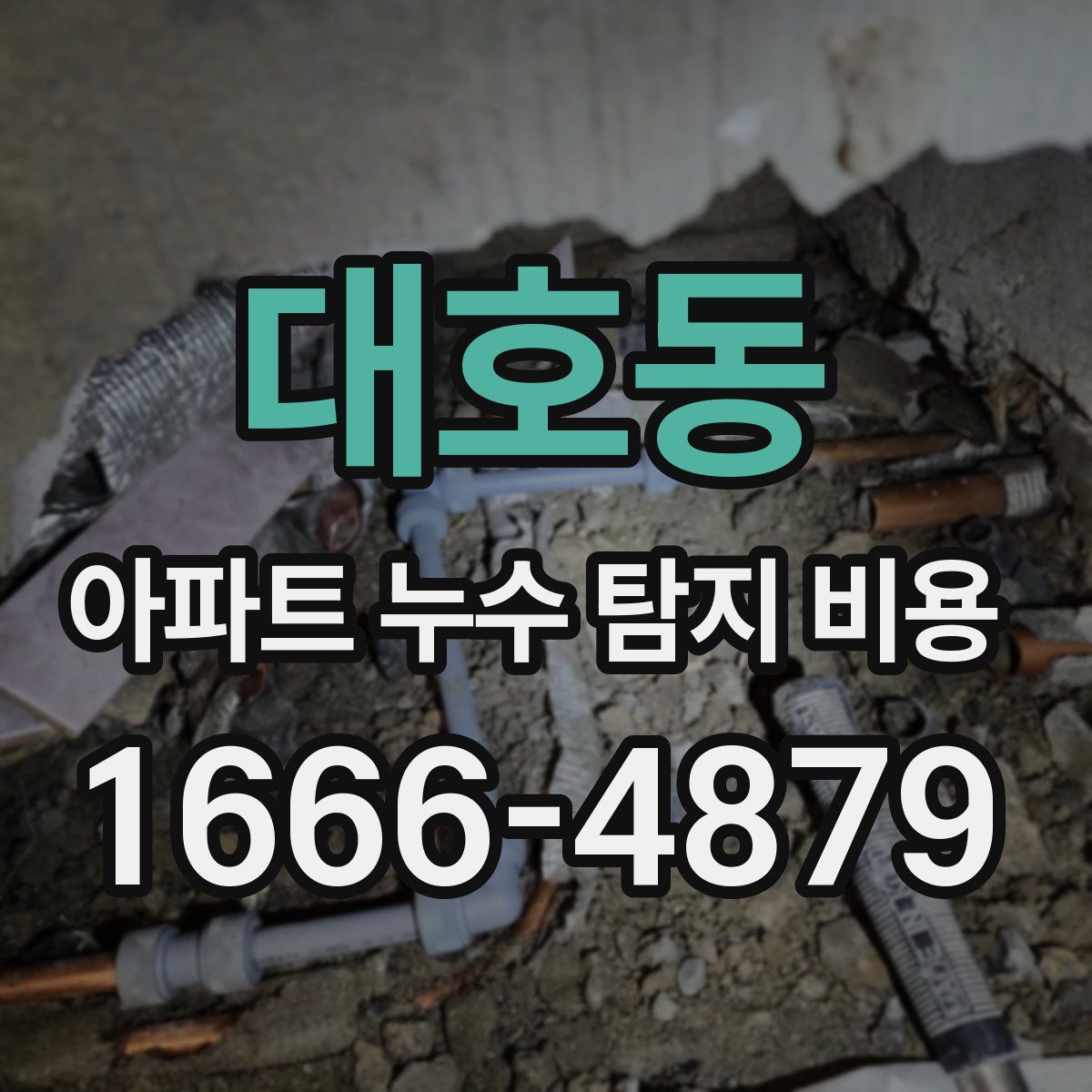 대호동 아파트 누수 탐지 비용