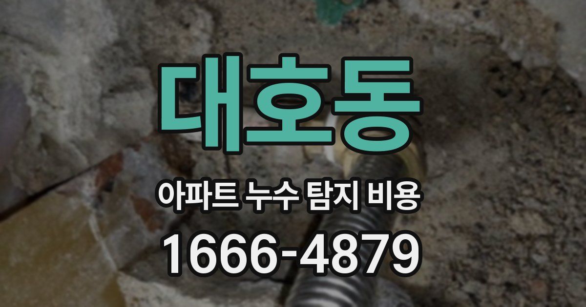 대호동 아파트 누수 탐지 비용