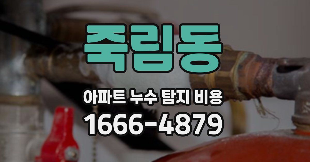 죽림동 아파트 누수 탐지 비용