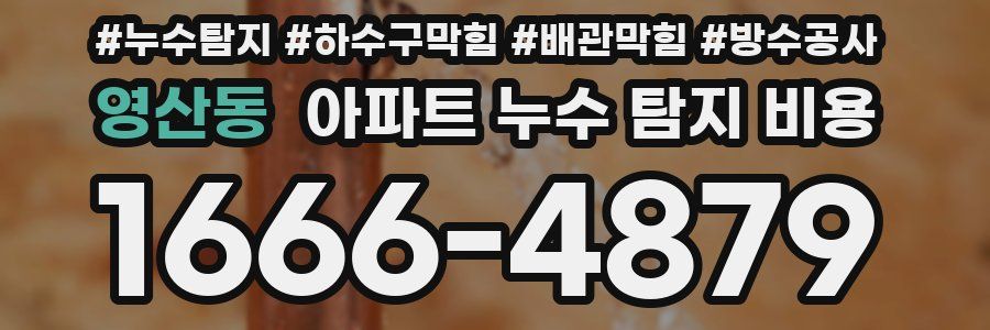 영산동 아파트 누수 탐지 비용