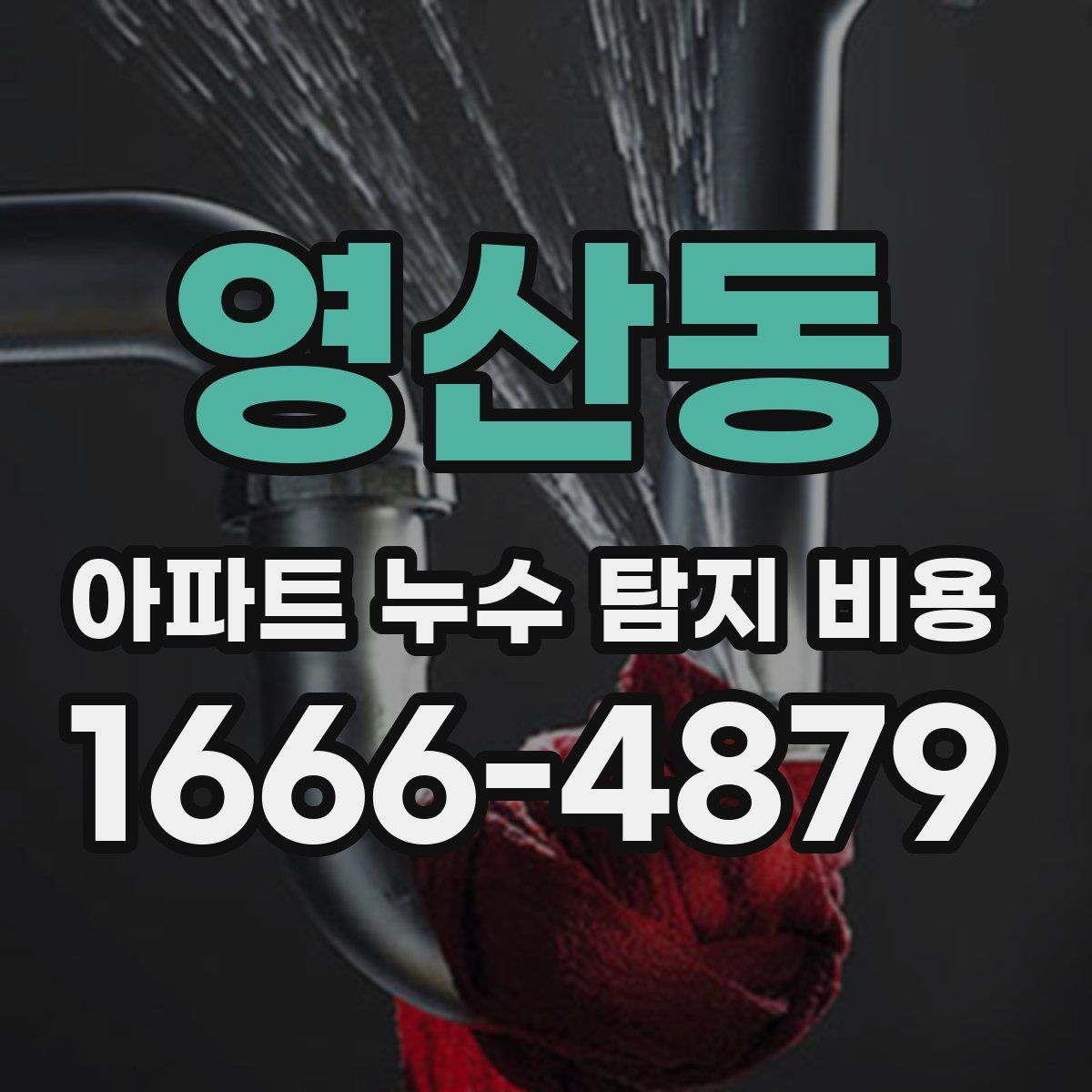 영산동 아파트 누수 탐지 비용