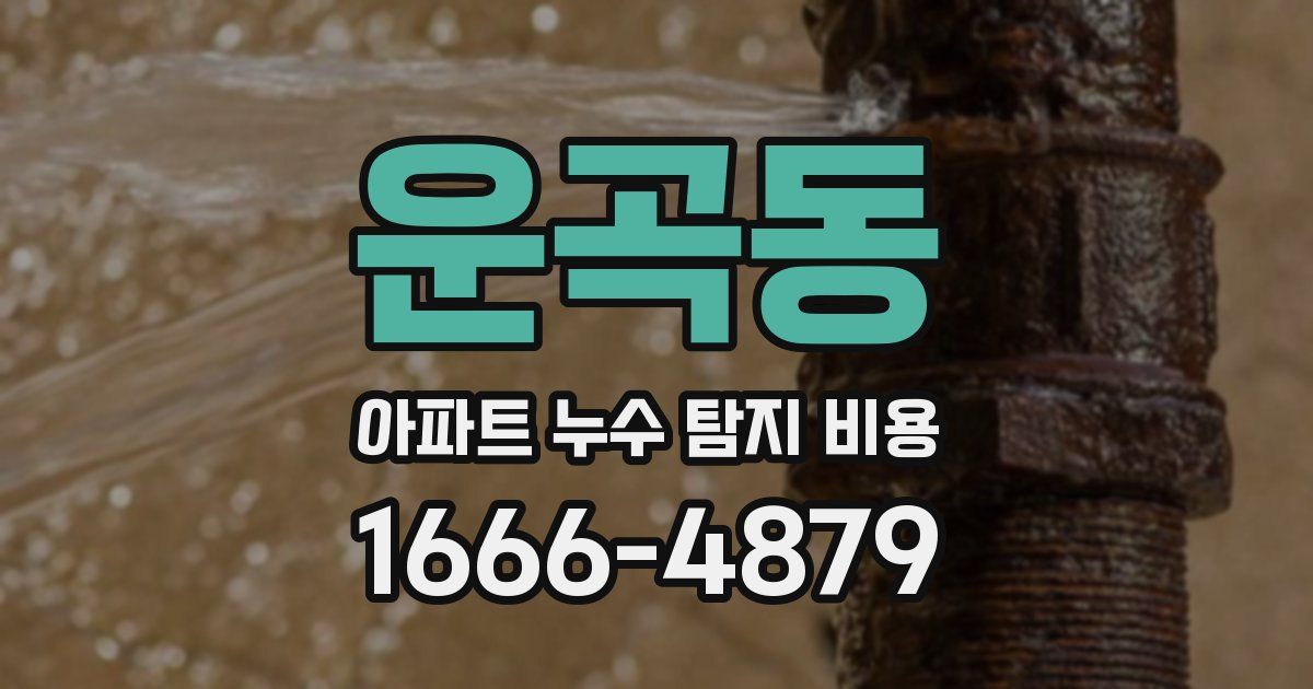 운곡동 아파트 누수 탐지 비용