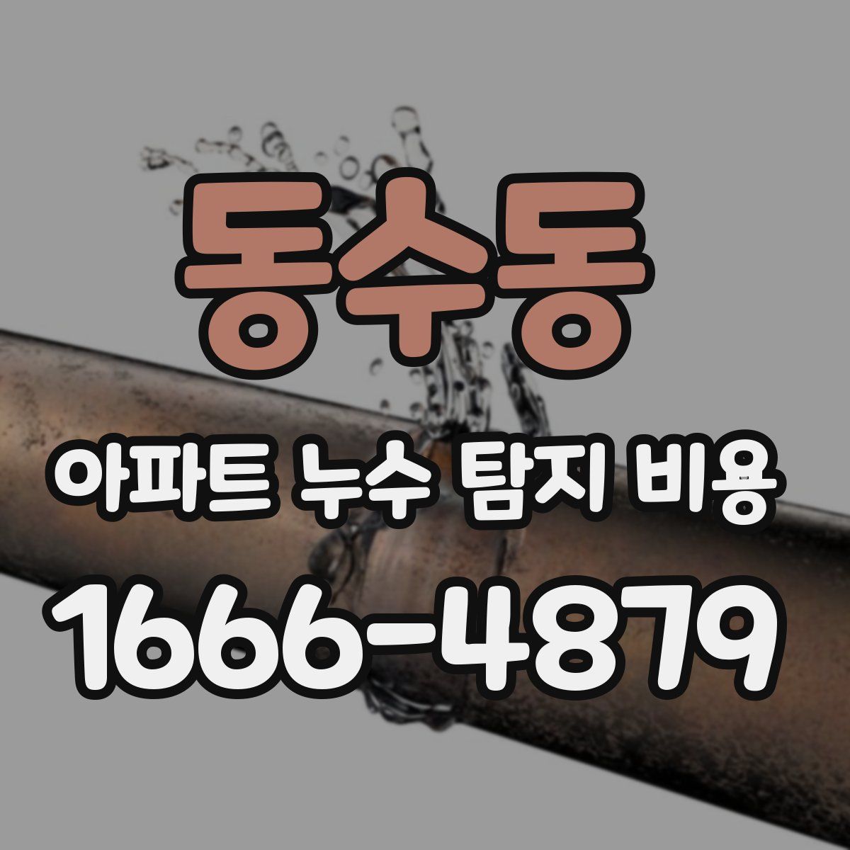 동수동 아파트 누수 탐지 비용