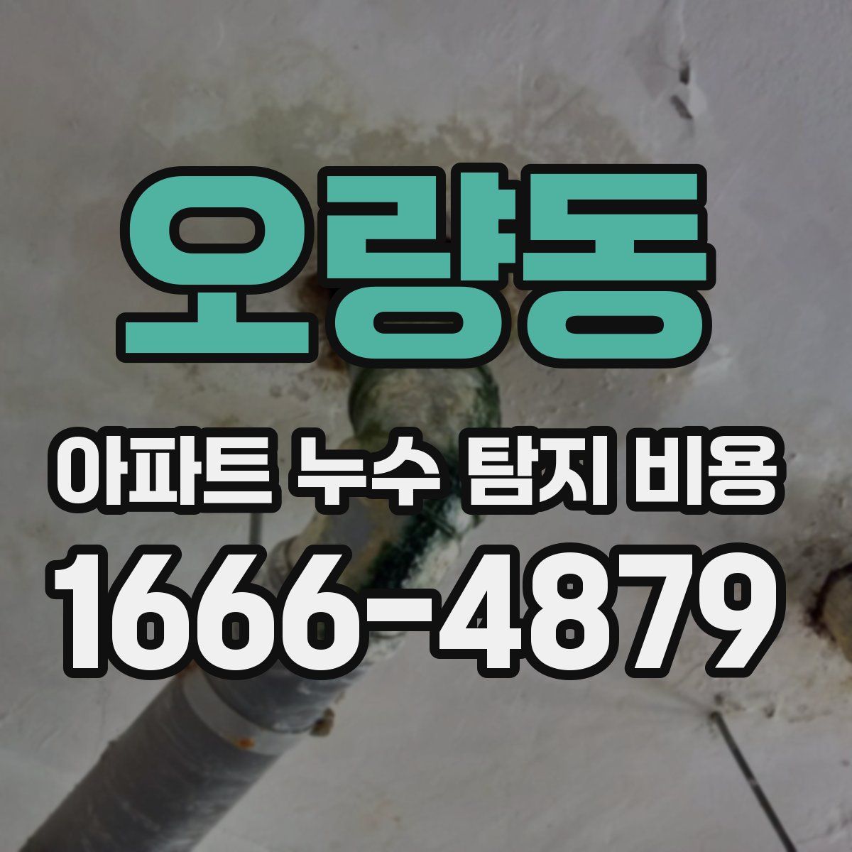 오량동 아파트 누수 탐지 비용
