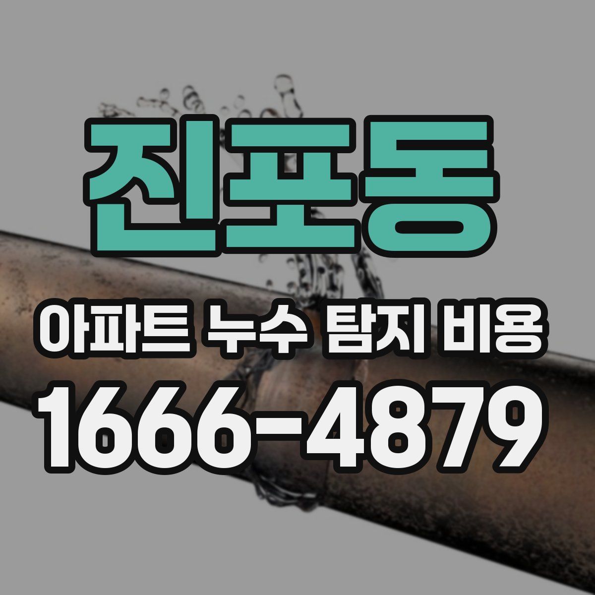 진포동 아파트 누수 탐지 비용