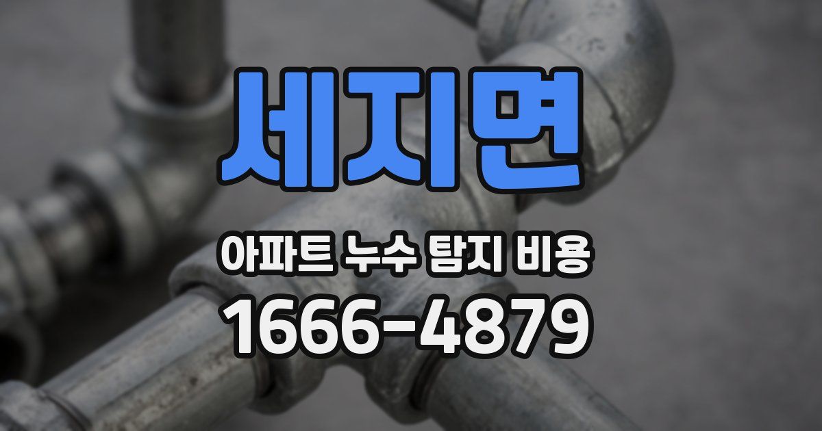 세지면 아파트 누수 탐지 비용