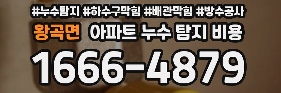 왕곡면 아파트 누수 탐지 비용
