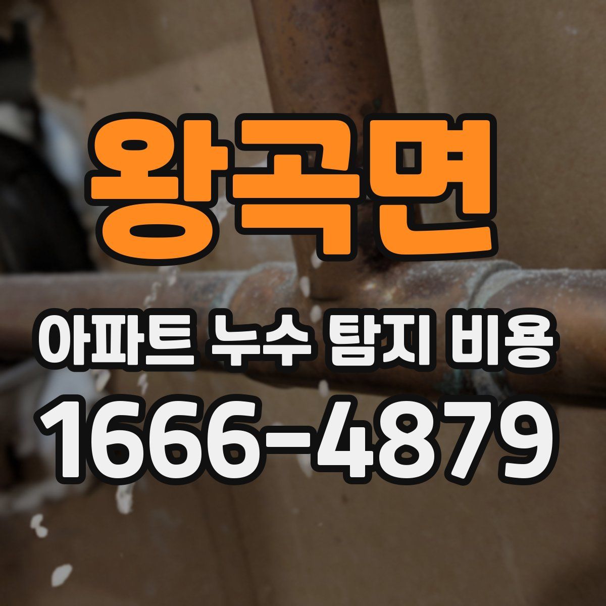 왕곡면 아파트 누수 탐지 비용