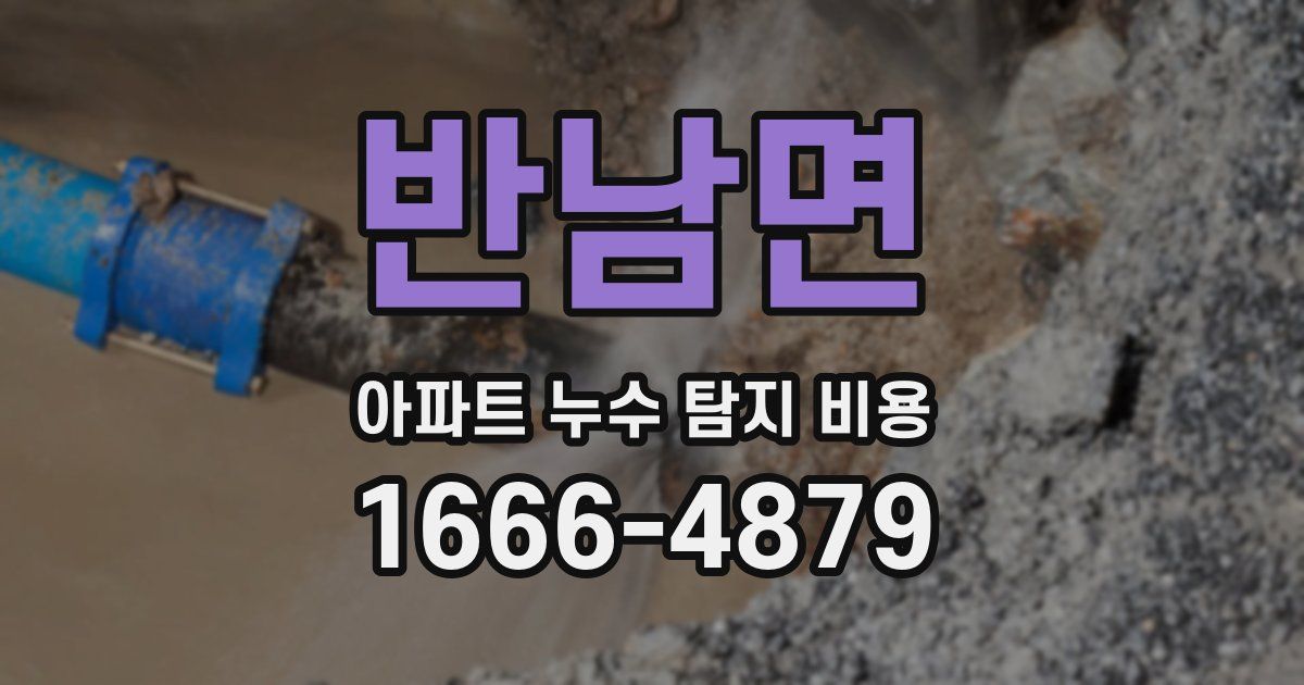 반남면 아파트 누수 탐지 비용