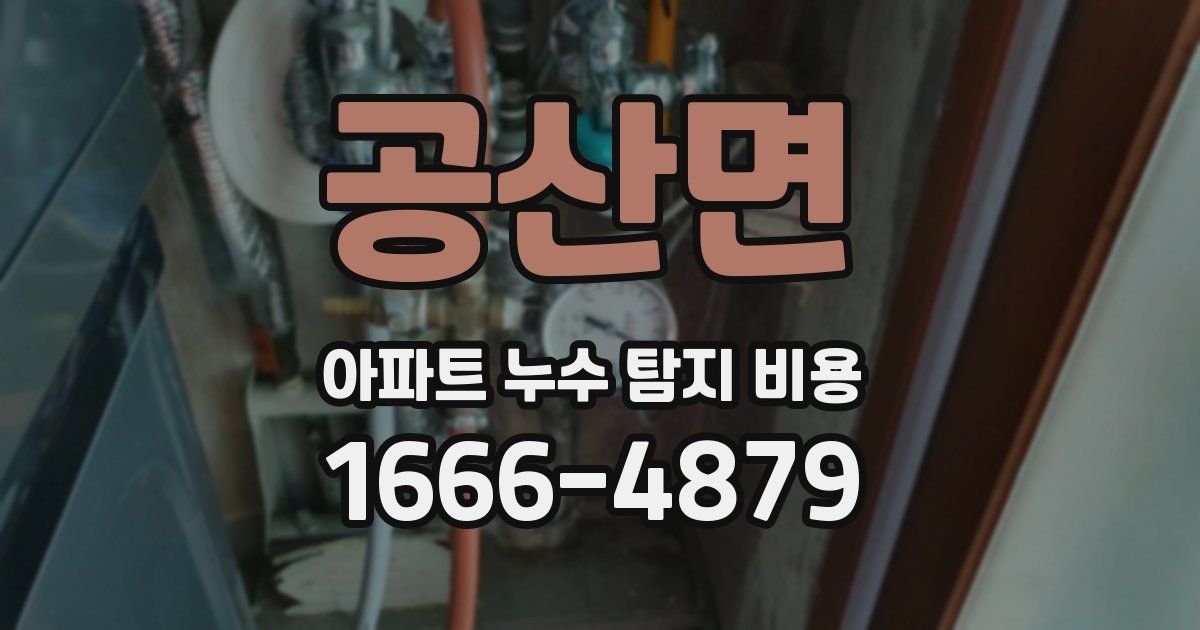 공산면 아파트 누수 탐지 비용