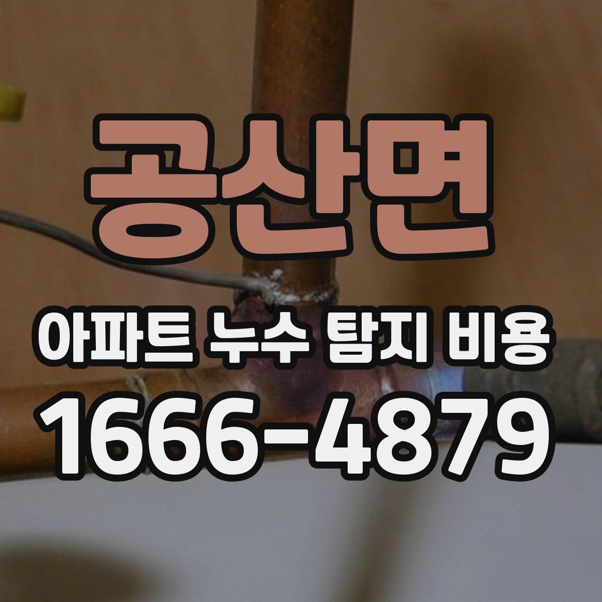 공산면 아파트 누수 탐지 비용